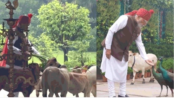 पंतप्रधान नरेंद्र मोदी पंतप्रधान नरेंद्र मोदी