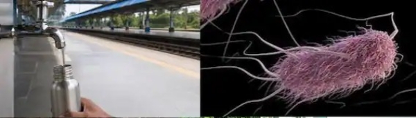E. coli Found in Railway Station Water Four MH Stations Included