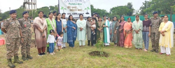 वृक्षारोपण वृक्षारोपण