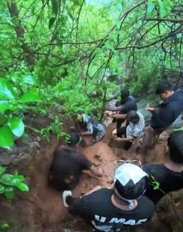 Major accident averted at Peb Fort; tourist rescued after stone pinning his leg was removed.