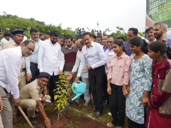 Tree plantation at Brahmagiri by