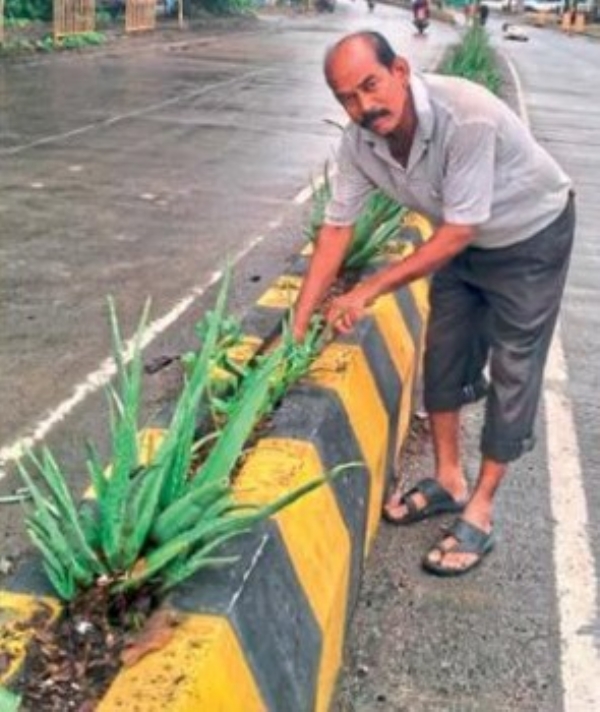 रस्ता दुभाजकांवर दाटणार हिरवळ माजी सरपंच मिलिंद गजभियेंचा अभिनव उपक्रम