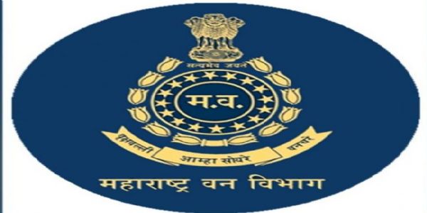 वन विभागात वरिष्ठांची ‘मर्जी’; मोजक्याच अधिकाऱ्यांवर अतिरिक्त कार्यभाराची ‘कृपा’, नियमांना छेद!