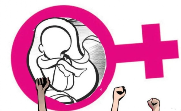 मेळघाटात चार दिवसांत दोन मातामृत्यू आरोग्य विभागातील योजनांच्या अंमलबजावणीवर गंभीर प्रश्नचिन्ह