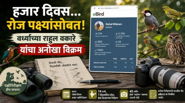 हजार दिवस… रोज पक्ष्यांसोबत! वर्ध्याच्या अभ्यासकाचा अनोखा विक्रम