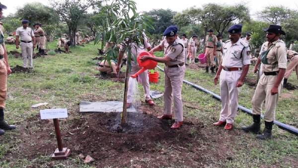 वृक्षारोपण