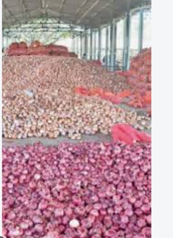 The onions purchased by
