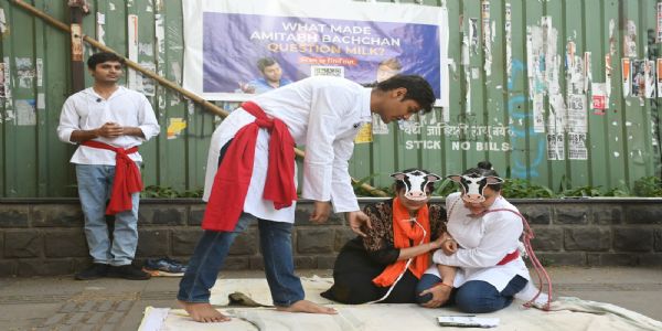 पथनाट्याच्या माध्यमातून तरुणाईने टाकला  ‘डेअरी