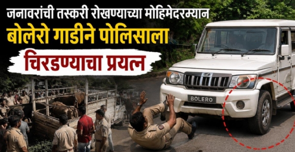 जनावरांची तस्करी रोखण्याच्या मोहिमेदरम्यान बोलेरो गाडीने पोलिसाला चिरडण्याचा प्रयत्न