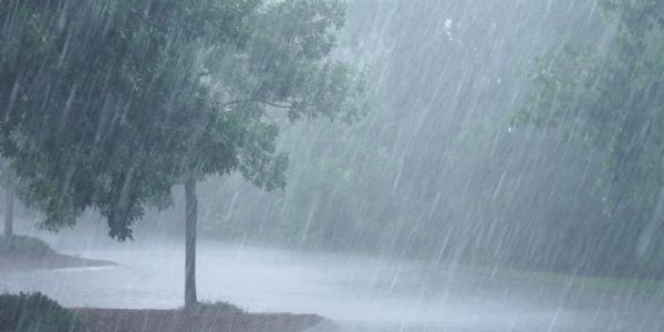 राज्यात पावसाची ओढ कायम; विदर्भ-मराठवाड्यात शेतकरी संकटात