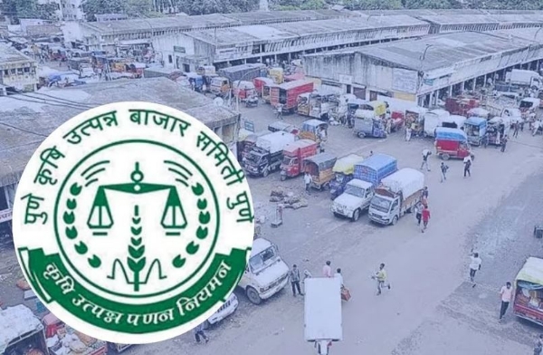 APMC Pune Krushi APMC Pune Krushi