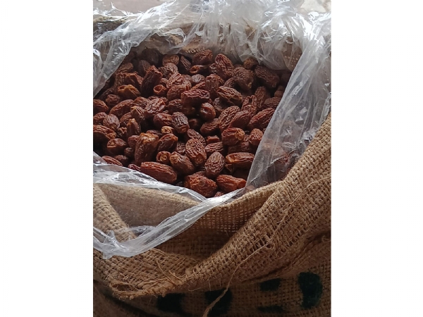 DRI Seizes 364 MT Banned Pakistani Dry Dates Worth 3 Crore