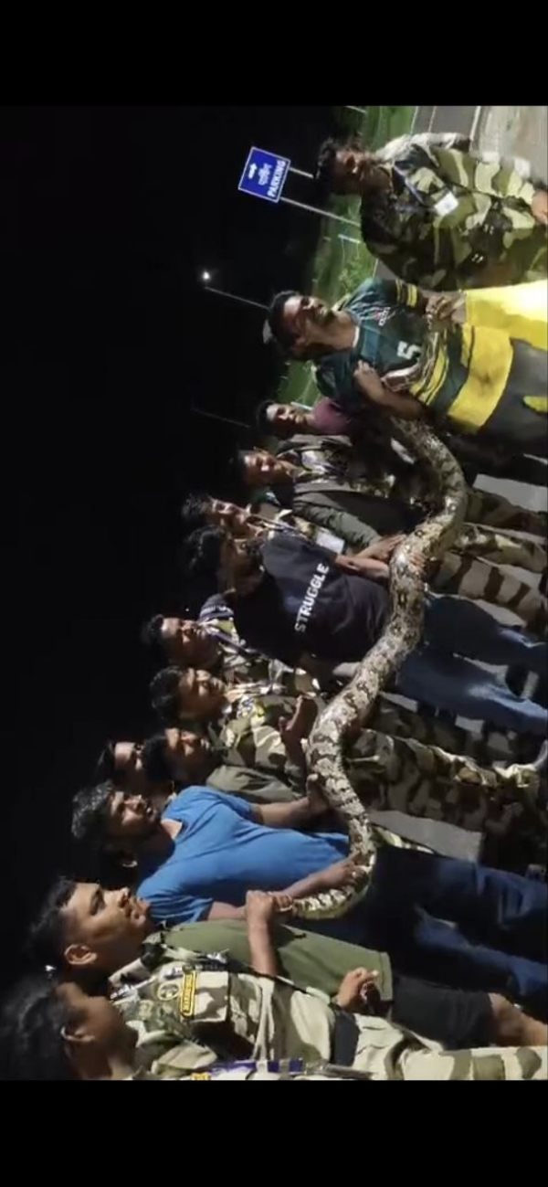 बेलोरा विमानतळावर आढळला भला मोठा अजगर ; सर्पमित्राच्या तत्परतेने सुरक्षित रेस्क्यू बेलोरा विमानतळावर आढळला भला मोठा अजगर ; सर्पमित्राच्या तत्परतेने सुरक्षित रेस्क्यू