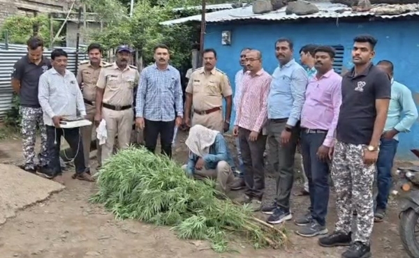 मोर्शी पोलिसांची धडक कारवाई घरामागे लावलेली गांजाची ५ झाडे जप्त; एकाविरुद्ध गुन्हा दाखल मोर्शी पोलिसांची धडक कारवाई घरामागे लावलेली गांजाची ५ झाडे जप्त; एकाविरुद्ध गुन्हा दाखल