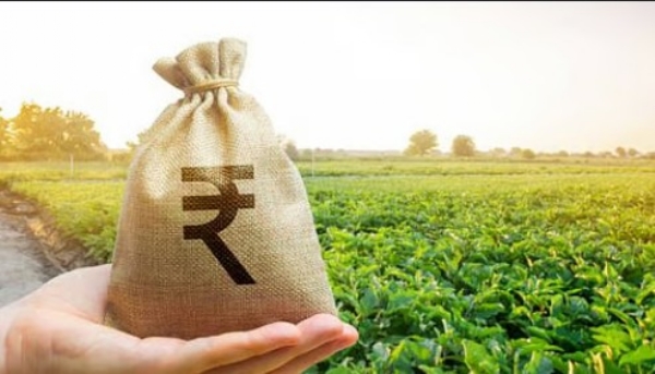 नुकसानग्रस्तां शेतकऱ्यांची मदतीची आशा मावळली