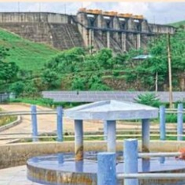 सापनच्या जलशुद्धीकरण केंद्रातून चामडोक पळाले सापनच्या जलशुद्धीकरण केंद्रातून चामडोक पळाले