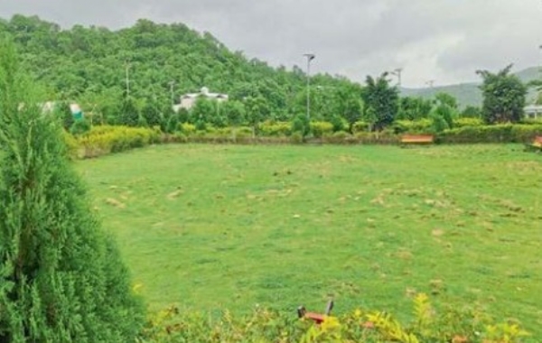 शेकदरी लघुप्रकल्प पर्यटकांच्या आकर्षणाचे केंद्र