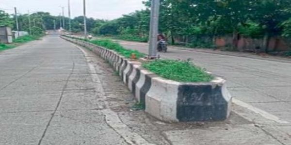 पावसाळा आला, तरी दुभाजकांवरील वृक्षारोपण रखडले