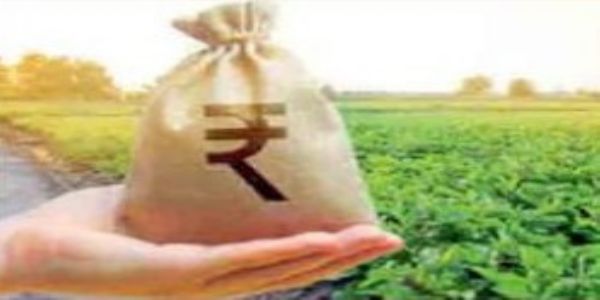 अमरावतीत १९ हजार पात्र शेतकरी अद्याप ई-केवायसीपासून दूर