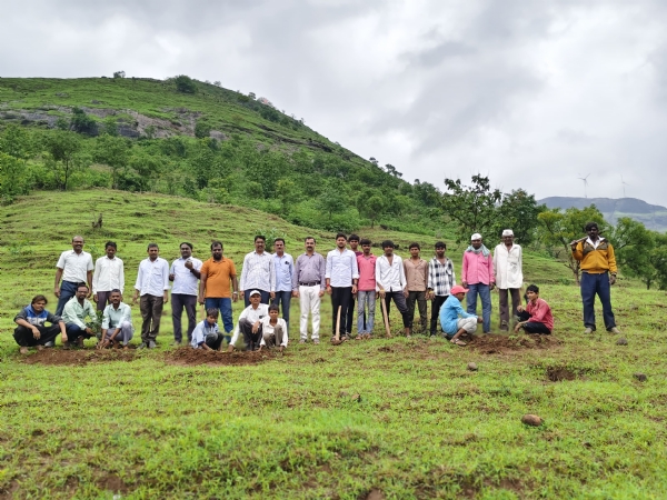 Tree plantation week from Tree plantation week from
