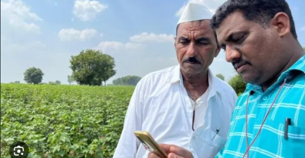 ई-पीक पाहणीला ‘ब्रेक’; शेतकऱ्यांत संभ्रम