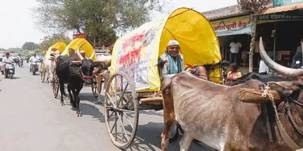 बैलगाडी घेऊन मराठा बांधव मुंबईकडे रवाना