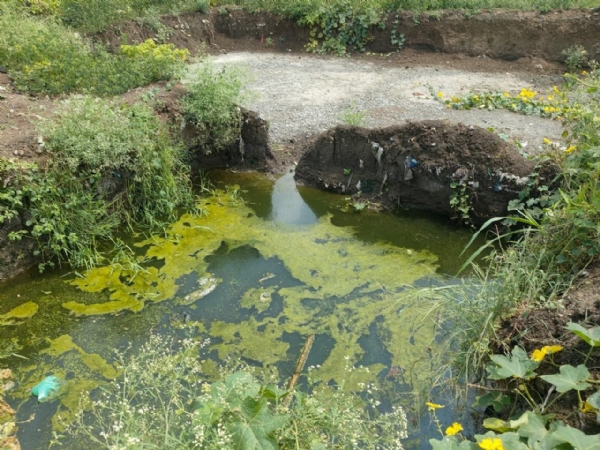 तळेगाव ठाकूरमध्ये सांडपाणी व्यवस्थापनाचे काम महिनाभरापासून रखडले!
