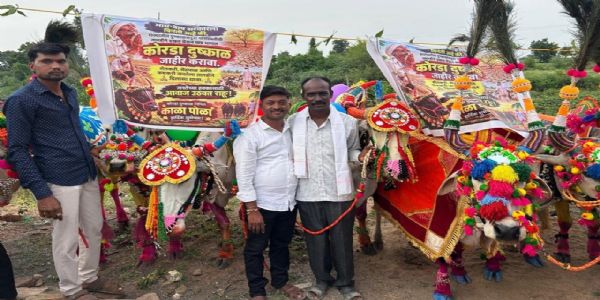 अमरावती जिल्ह्यात कोरडा दुष्काळ जाहीर करा; पळसखेड येथे बॅनर लावून शासनाचे वेधले लक्ष