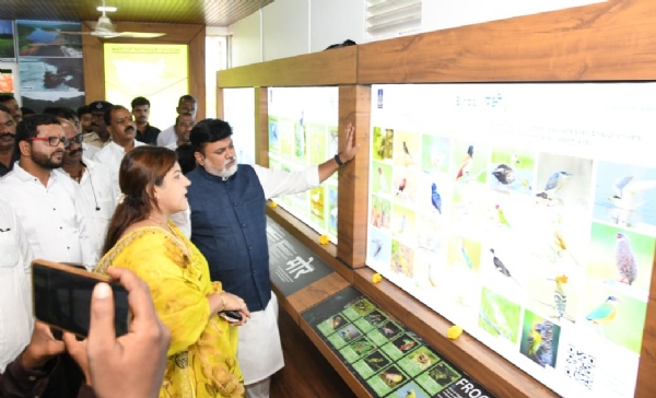 सात्विणगावातील निसर्ग माहिती केंद्र
