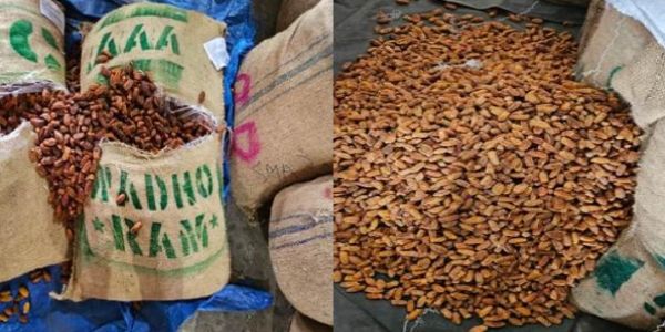 डीआरआयने पाकिस्तानी बनावटीच्या ३६२ मेट्रिक टनांहून अधिक खारका केल्या जप्त