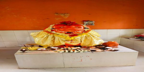 हत्तीच्या शोधात सापडले गणरायाचे रूप..!