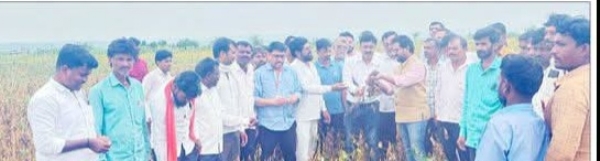 पीक पाहणी पीक पाहणी