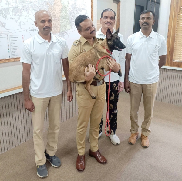 पोलीस अधिक्षक अमोल तांबे