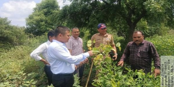 जिल्हाधिकाऱ्यांकडून मोर्शी तालुक्यातील खरीप पिकांची प्रत्यक्ष पाहणी