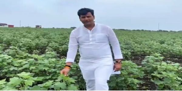 अमरावती : शेतकऱ्यांच्या बांधावर पोहोचत रवी राणांकडून पिकांची पाहणी