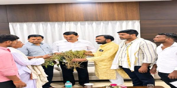 कृषिमंत्री दत्ता भरणेकडून नांदेड जिल्ह्याच्या दुष्काळ परिस्थिती पाहणी