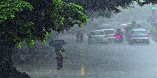 पुढील दोन ते तीन दिवसांत विदर्भासह राज्यातील काही भागांत पावसाचा जोर वाढण्याची शक्यता