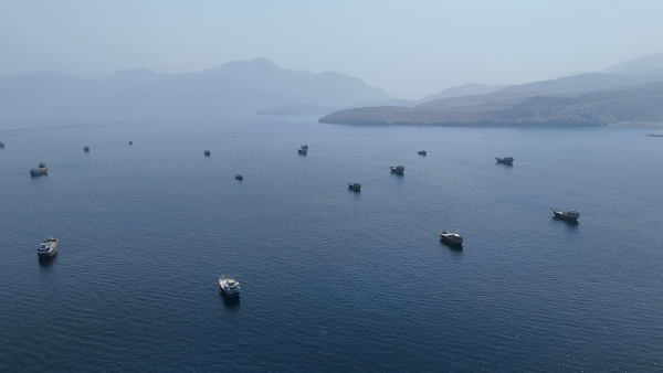 17 million barrels of oil were transported through the Strait of Hormuz