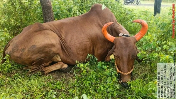 अ