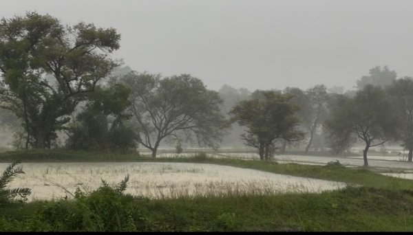 Heavy Rainfall in Mayurbhanj