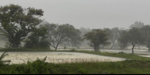 बंगालच्या उपसागरातील हवामान प्रणाली तीव्र; विदर्भात २३ ते २६ सप्टेंबरदरम्यान मुसळधार पावसाचा इशारा