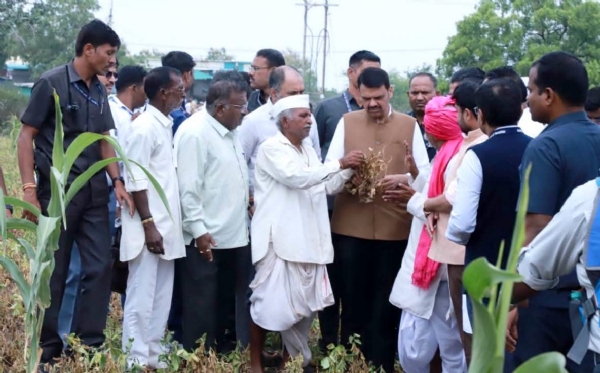 दुष्काळाचे सावट दुष्काळाचे सावट