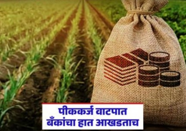कर्जमाफी झाली, तरी पीककर्जासाठी बँकांचा हात आखडता कर्जमाफी झाली, तरी पीककर्जासाठी बँकांचा हात आखडता