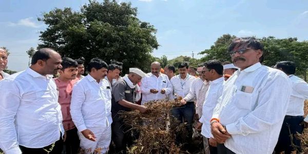 मावसाळा येथे शेतकऱ्यांच्या शेतावर प्रत्यक्ष भेट देऊन सध्याच्या पिकांची पाहणी