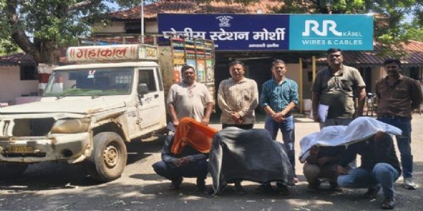 मोर्शीत जनावर चोरी करणारी टोळी जेरबंद; ५ आरोपी अटकेत