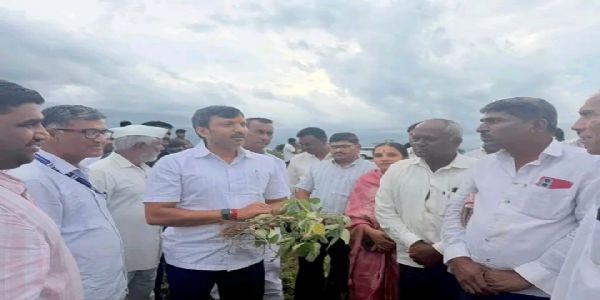 पावसाने दिलेल्या खंडामुळे वाळून चाललेल्या सोयाबीन पिकांची पाहणी