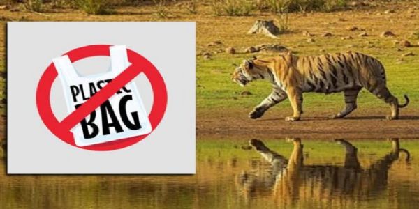 व्याघ्र प्रकल्पांमध्ये यंदा प्लास्टिकला ‘नो एंट्री’; वन्यजीव सप्ताहात कॉरिडॉर संवर्धनावर होणार मंथन