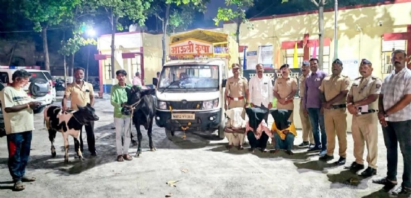 पोलीस कारवाई