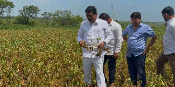 बीड जिल्हा दुष्काळग्रस्त घोषित करा : खासदार सोनवणे