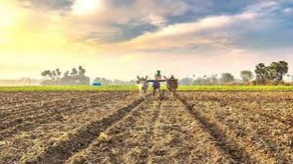 Sowing 1,086.31 Lakh Hectares During Kharif Season Nationwide Sowing 1,086.31 Lakh Hectares During Kharif Season Nationwide